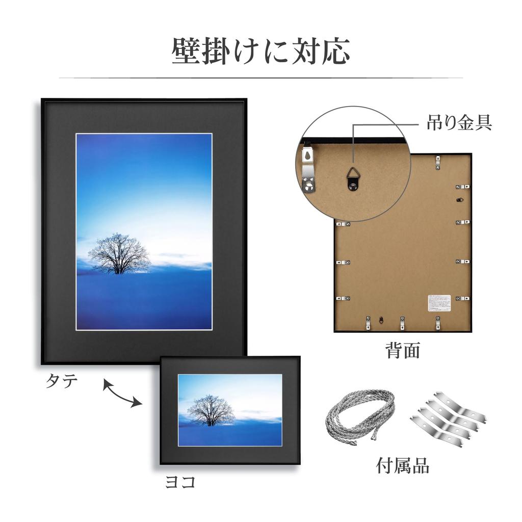 HAKUBA Lightweight Picture Frame ZERO Frame A3 Black G-01 FZG01-A3BK