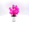 Odorata Lour Aglaia Potted Plant Bonsai Living Room And Event Decoration