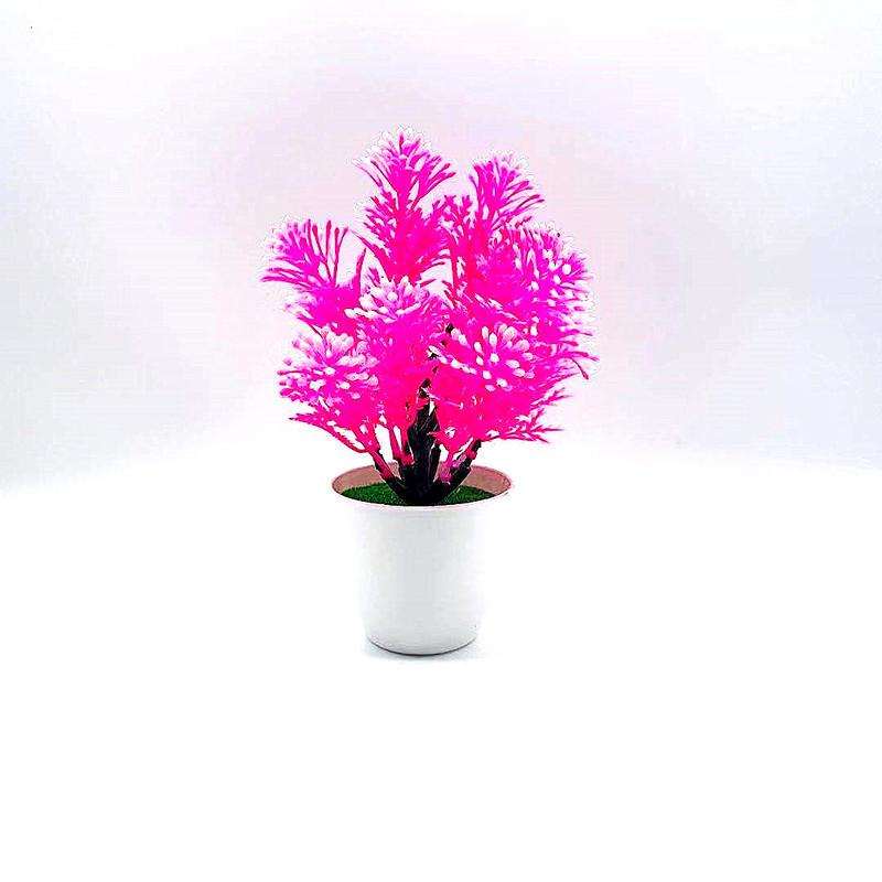 Odorata Lour Aglaia Potted Plant Bonsai Living Room And Event Decoration