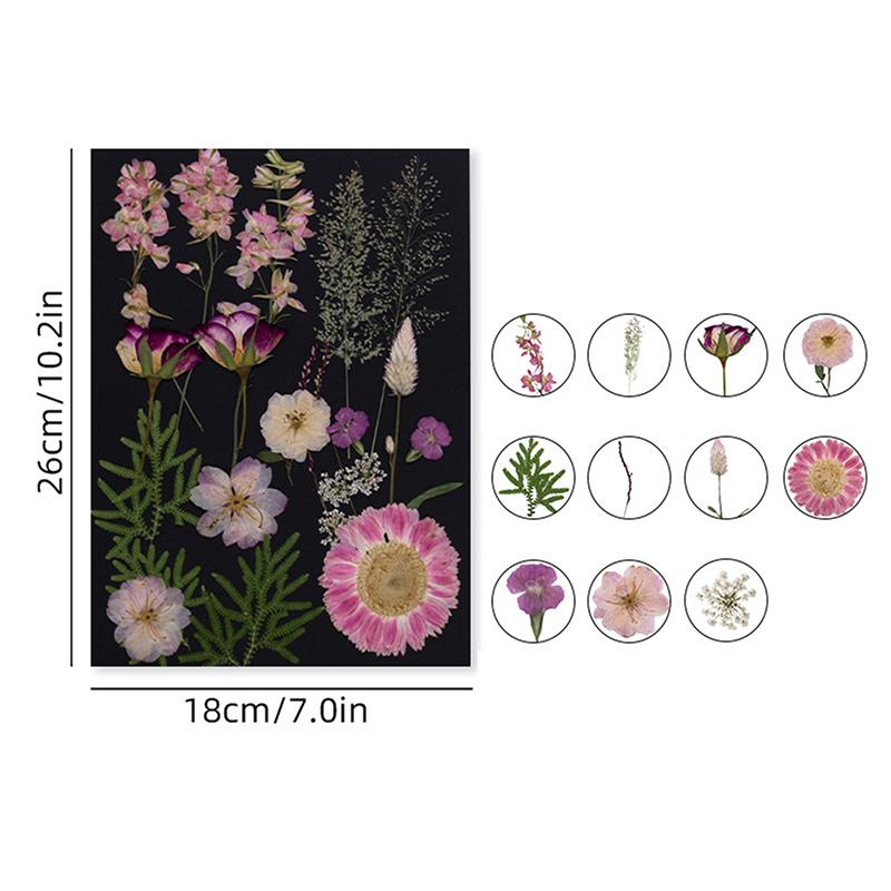 Dry Embossed Flower Diy Hand-Drop Glue Photo Frame Decorative Real Flower Plant Specimen Dried Flower Materials