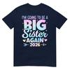 Im Going To Be A Big Sister Again 2026 Baby Announceunisext TShirt