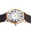 Steinhausen Men's S0721 Classic Delemont Swiss Quartz Rose Gold Stainless Steel Watch with Brown Leather Band
