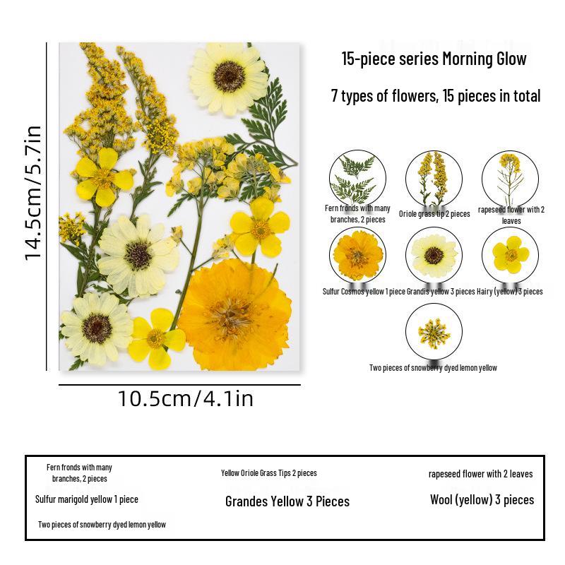 DIY Dried Flower Specimen Sticker Set for Kids: Handmade Pressed Flower Frames & Resin Bookmark Craft Kit