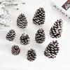 DIY Christmas Tree Decor: Bleached Pine Cones & Dried Flowers with Cedar and American White Pine Cones