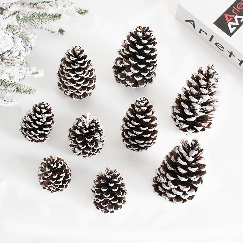 DIY Christmas Tree Decor: Bleached Pine Cones & Dried Flowers with Cedar and American White Pine Cones