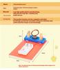 Diy Electromagnetism Electrical Motor Model Metal Coil  Magnetism Physics Science Experiment Aids Educational Students Toy