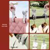 Stainless Steel Windproof Quilt Clip for Outdoor Drying, Home Space-Saving, Anti-Blow-Off Design