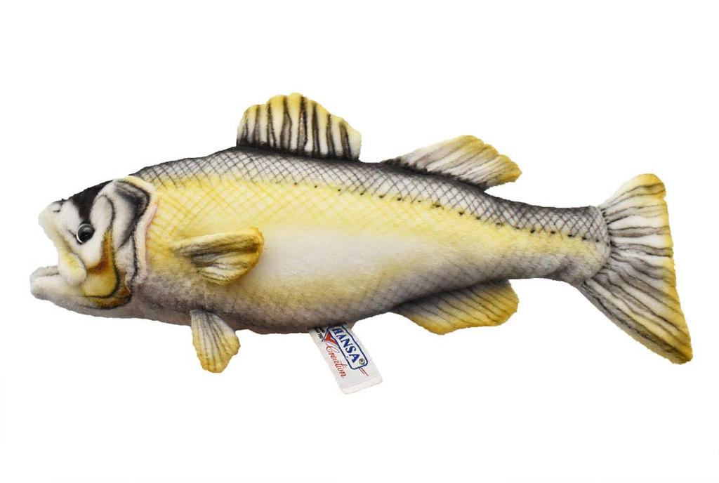 Sea Bass No. 6052