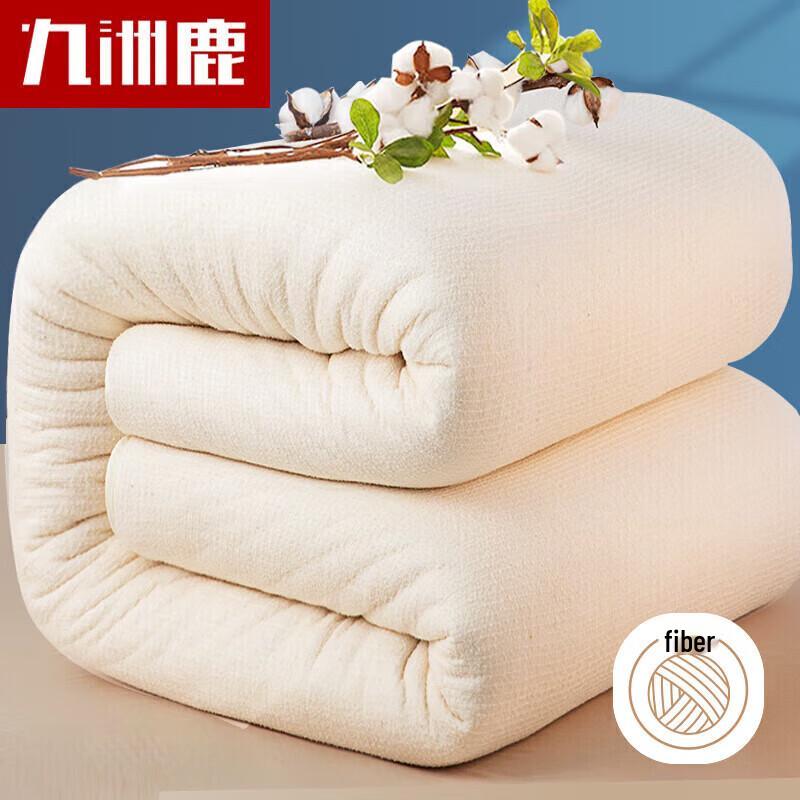 

Jiuzhulu Cotton Blend Winter Quilt