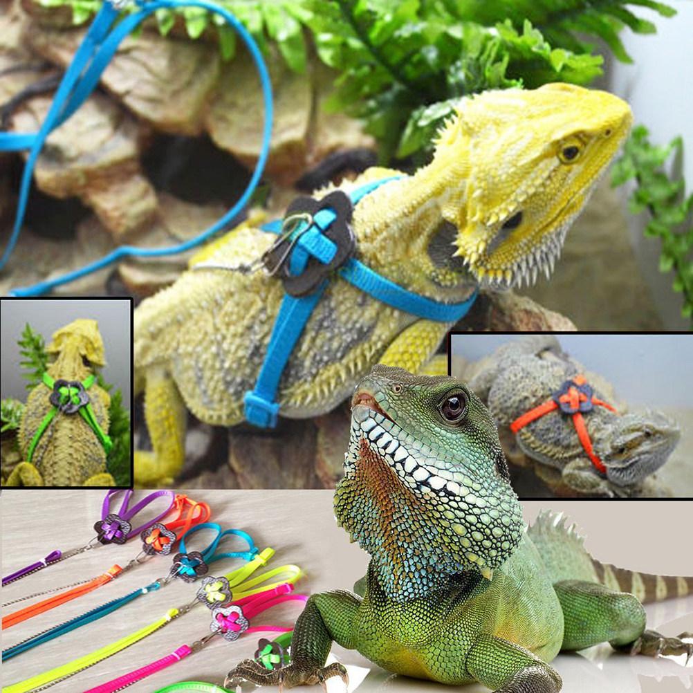 Reptilien Geschirr Leine 1,2m Verstellbar für Eidechse Outdoor Spaziergang Nylon Schnur Metallverschluss Passt Brustumfang Unter 23cm 0,7cm Breite Schnell