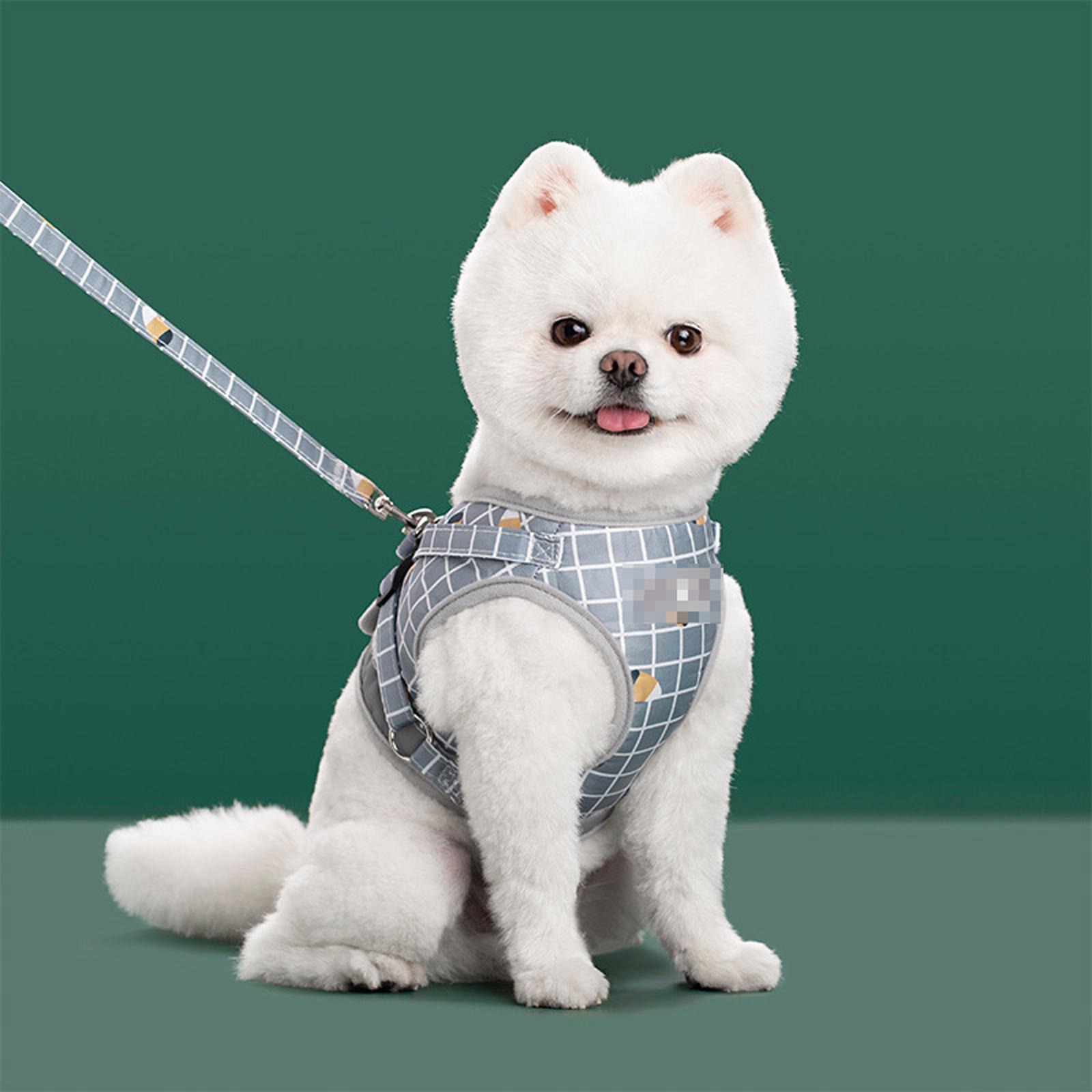 

Нейлоновая сетка Светоотражающий щенок Собаки и набор поводков Собачий жилет Поводки Одежда для питомцев для маленьких собак XS