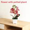 Butterfly Orchid Artificial Plant With Plastic Material For Home Decor And Photography Props