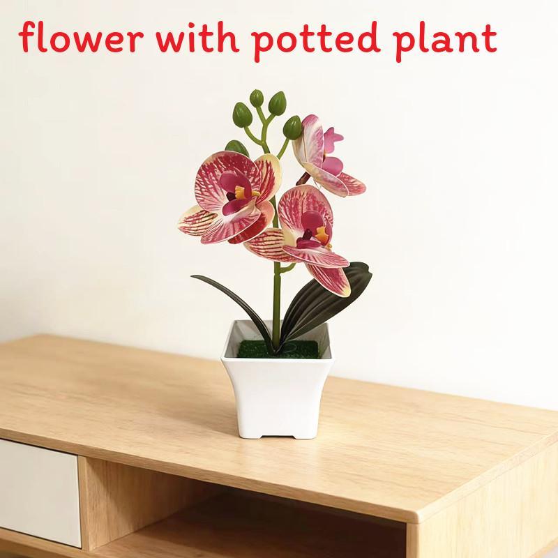 Butterfly Orchid Artificial Plant With Plastic Material For Home Decor And Photography Props