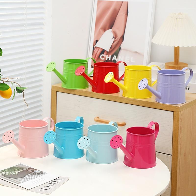 Metal Watering Can Garden Flower Kettle Mini Small Water Spraying Pot Sprinkle With Large Capacity For Kids Adult