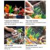 High Quality Transparent Fish Tank Square Plastic Fish Breeding Box With Lid Aquariums Table Decoration