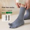 Men's Spring and Autumn Deodorant Sweat Absorption Antibacterial Beriberi In The Tube Five Finger Socks