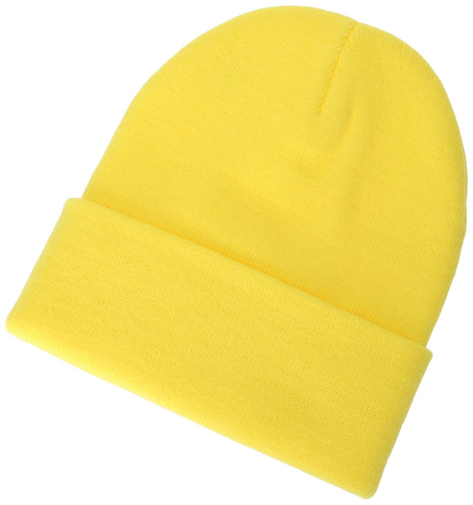 Dickies knit hat
