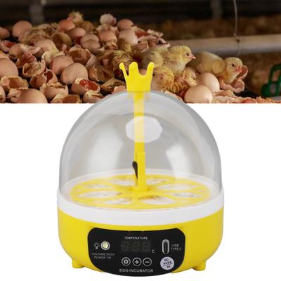 Egg Incubator for Home Automatic Temperature Control 7W 4 Eggs Candler Poultry Hatching Machine for Chickens  S  S