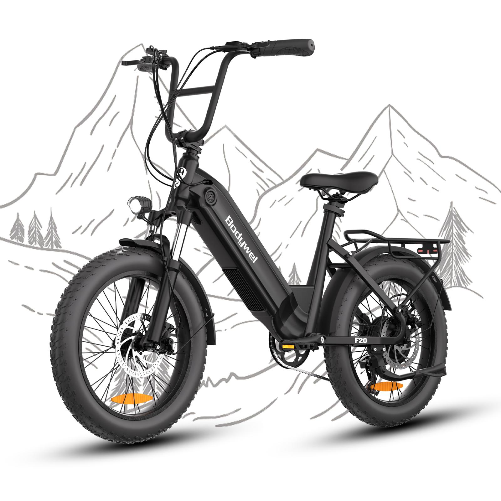 20 Inch Fat Tires Electric Bicycle