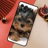 Yorkshire Terrier Dog Puppy For Samsung Galaxy M34 M11 M35 M21 M16 M06 M33 M13 M53 M31 M55 M15 M14 M54 M12 M32 M52 Case