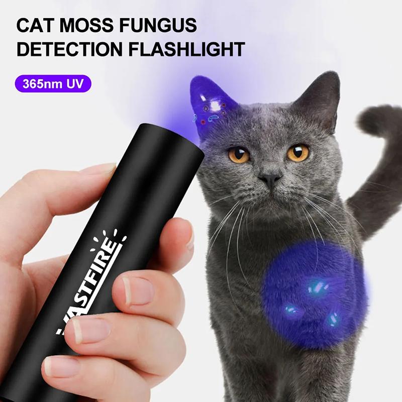 365nm Mini Portable UV LED Flashlight USB Rechargeable For Pet Stains Fungus Bed Bug Moldy Food Ultraviolet Detector Lamp