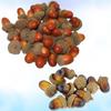 100Pcs Artificial Vivid Realistic Acorns Small Set Decorative Nuts for Christmas Table Display Party Wedding Home Garden