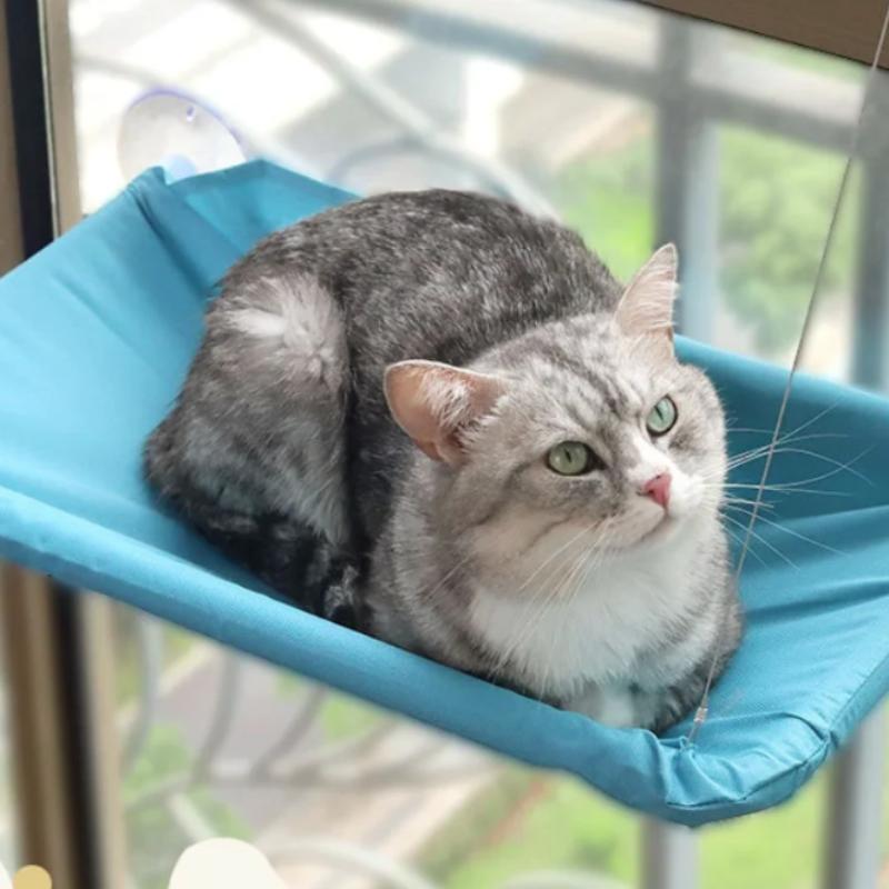 Aerial Pet Bed Hammock for Cats - Hanging Window Seat Climbing Frame Kitten Nest with 20kg Capacity Sunny Nesting Area Cat