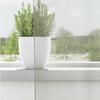 VidaXL Rideaux en voile avec œillets 2 pcs gris clair 140x260 cm, rideau en filet, rideau transparent, voile de fenêtre, 4102111