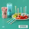 Disposable Plastic Fruit Picks Set