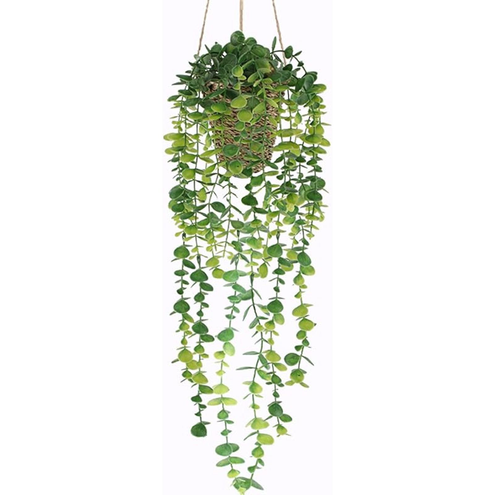 Nisoger Fake Hanging Plant with Woven Basket, 2 Pack Artificial Hanging Plants, Faux Vines Eucalyptus Leaf Hanging Pot Plant for Wall Home Room