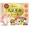 [Expert-Supervised X All-in-One Sheet] 20 Sheets (10-Use Foot Sheets) with Wet Wipes [Featured In Anan/ar] Beautiful Foot Revolution Far Infrared Mass