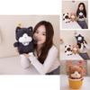 Adorable 8 Inch And 9 Inch Plush Cat Toy Doll Perfect For Weddings And Gifts