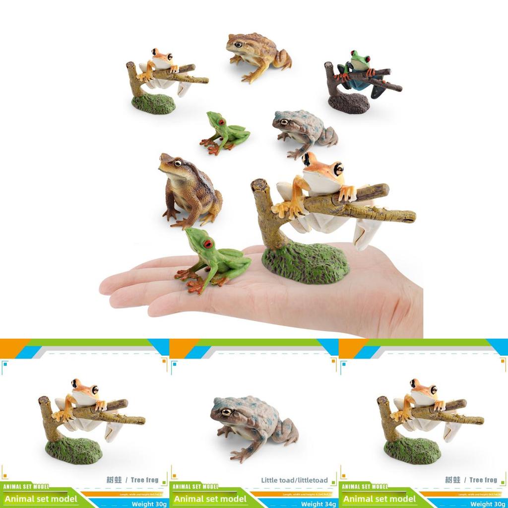 Childrens Wild Animal Pvc Collection With Realistic Tree Frog And Toad Figurines For Educational Play
