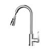 Versatile Kitchen Sink Faucet