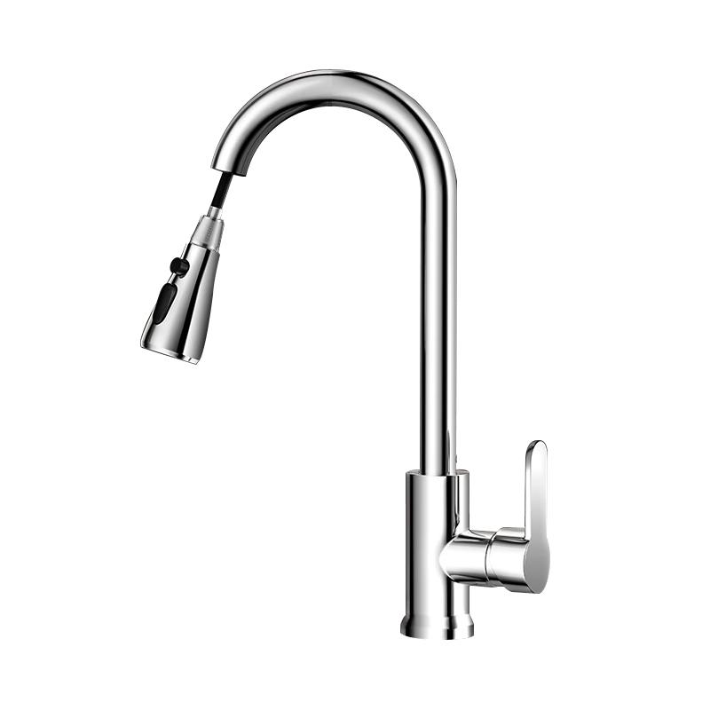 Versatile Kitchen Sink Faucet