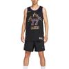 Nike NBA City Edition Dri-Fit Swingman Los Angeles Lakers Sleeveless Basketball Jersey Men Tops DX8506-014