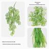 Boston Fern Hanging Vine for Wedding, Studio, Mall, and Decoration - Green Plant Accessories