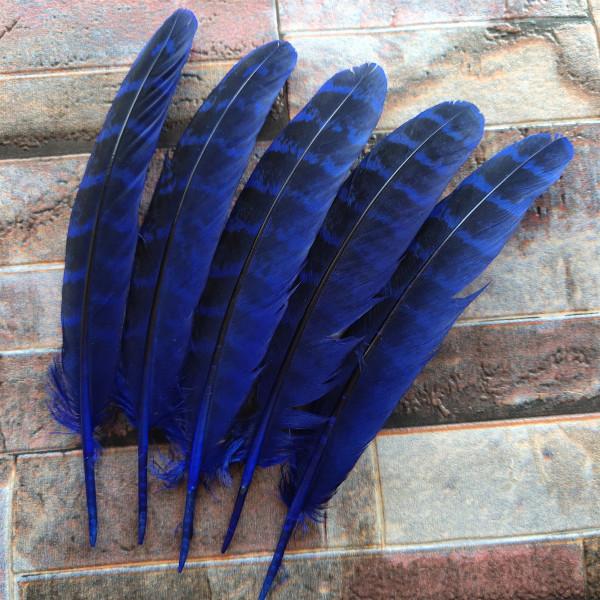 10 Pcs Beautiful High Quality 10-15cm/4-6inches Natural Pheasant Feathers 11 Colors Optional DIY Decorative