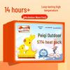 Peiqi Kangaroo Self-Heating Body Warmer Patches