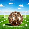 1pc Lion Wild Theme Soccer Ball Football, Size 5, Lightweight PVC, Outdoor Training Soccer Ball,Gift C657