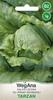 Iceberg Lettuce for Spring Cultivation Tarzan 1g -