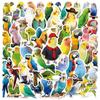 50Pcs Adorable Parrot Graffiti Stickers Colorful Personality Creative Birds Cartoon Decal Diy Luggage Phone Cup Car Kid Toys