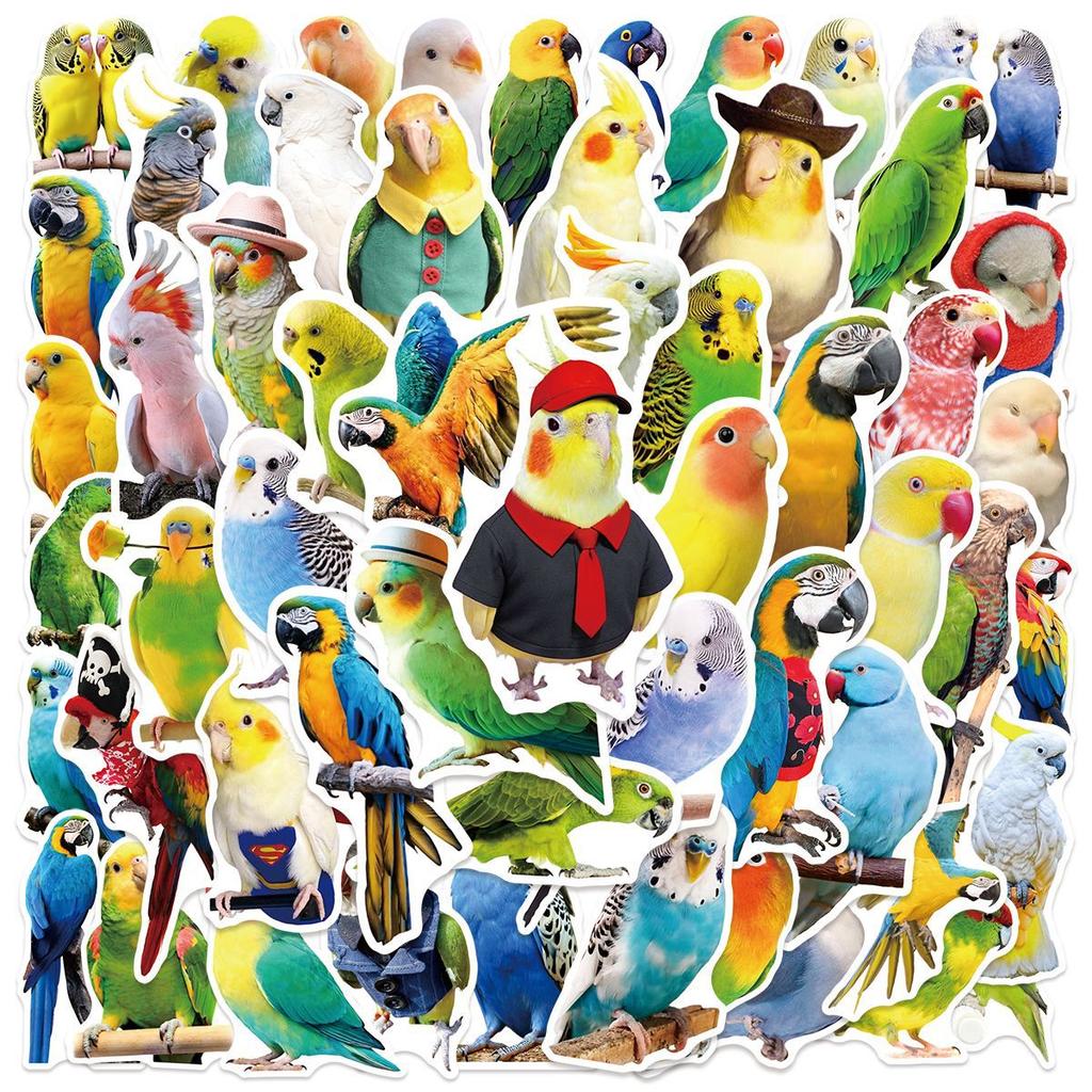 50Pcs Adorable Parrot Graffiti Stickers Colorful Personality Creative Birds Cartoon Decal Diy Luggage Phone Cup Car Kid Toys