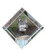 Australian Kelpie, Barb, Farmer Dog – Crystal Cube with a Photo, Photo of a Horse In Crystal |