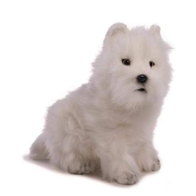 Hansa West Highland Terrier Nr 4127