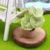 1/12 Domek dla lalek Symulacja Zielone rośliny w doniczkach Model Domek dla lalek Mini Ogród Dekoracja Zabawka Mikro Krajobraz Ozdoba Bonsai
