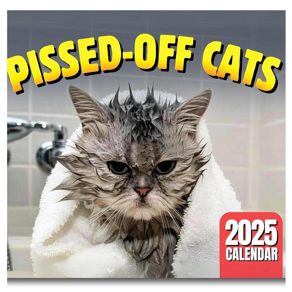 

2025 New Pissed-Off Cat English Calendar Wall Calendar Fun Cute Wall Art Calendar Office Supplies Every Day Can Be Celebrated