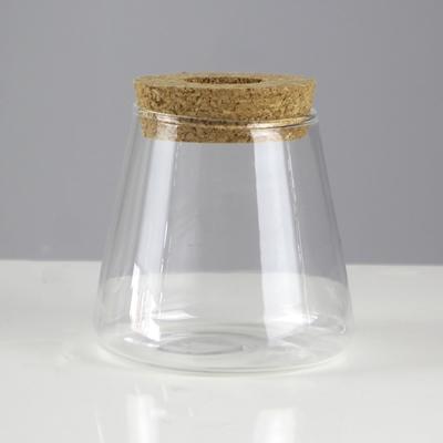 1Pc Transparent Glass Vase Containers Flower Arrangement Groundless Plants Hydroponic Pot
