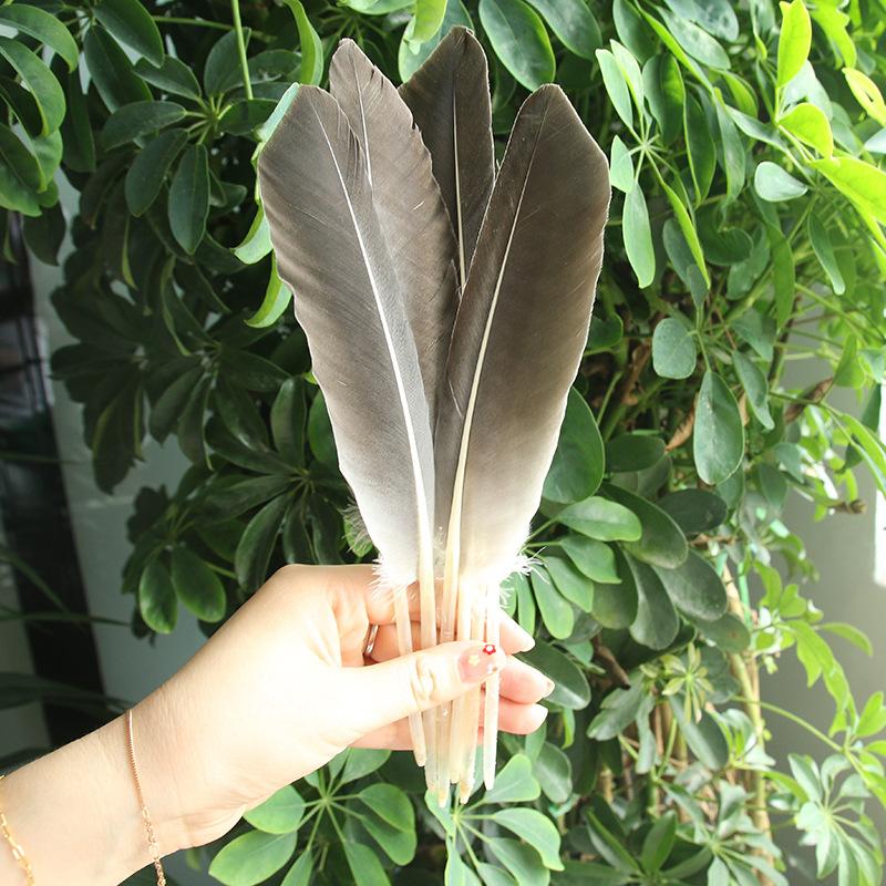 10Pcs Gray Knife Plume Feather Colored Feather Goose Feather Diy Jewelry Handicraft Feather Pen Decorative Material About 22-28Cm Long
