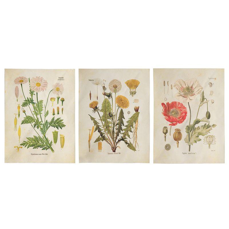 

Good-3Pcs Flower Tapestry Wall Hanging Wildflower Plant Floral Tapestry Chart Small Tapestry For Bedroom Living Room